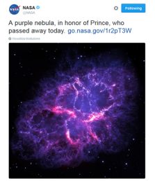 Prince, la Nasa twitta una nebulosa viola in omaggio a "Purple Rain"
