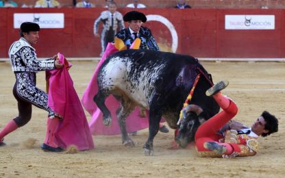 Spagna, torero di 29 anni muore incornato