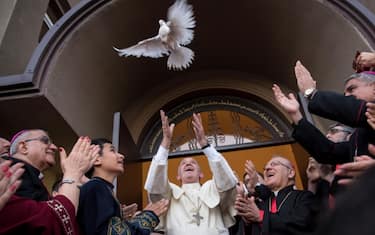 Papa: "C'è un grande nemico del matrimonio, è la teoria del gender"