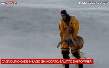 Michigan, pompieri salvano cane caduto in un lago ghiacciato. VIDEO