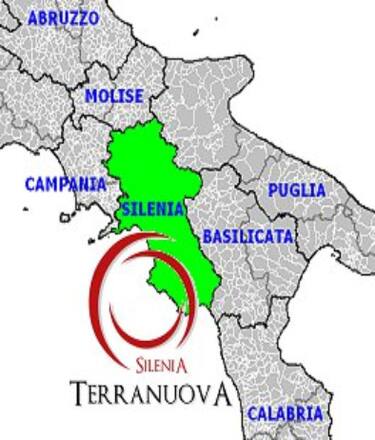 silenia_terranuova