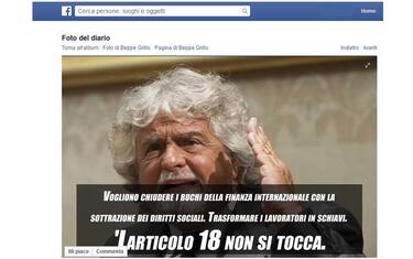 grillo_articolo_18