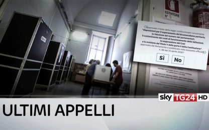 Referendum, Renzi: "Sì rafforza Italia". Grillo: "Paese spaccato"