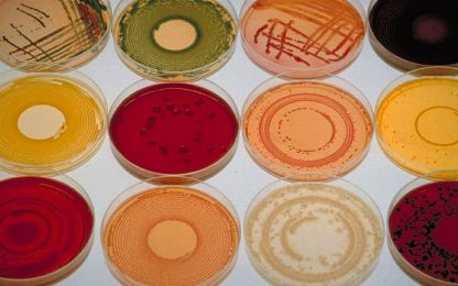 L'allarme: "I batteri si evolvono più rapidamente della ricerca"