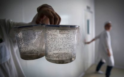 Zika, il vaccino potrebbe essere pronto per il 2018