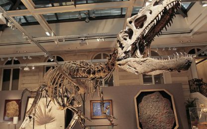 Scheletro di dinosauro venduto all'asta per un milione di euro