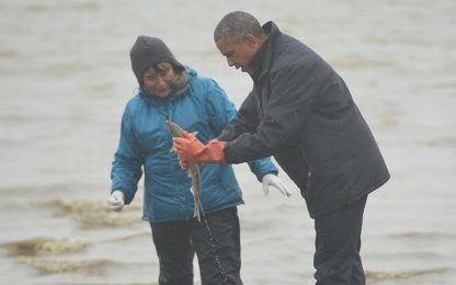 Scoperta una nuova specie di pesce negli Usa: si chiama Obama