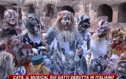 Ora i gatti cantano in italiano e ballano al Colosseo