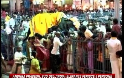 India, elefante ferisce 6 persone