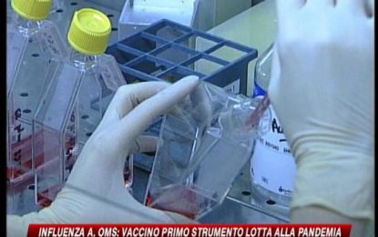 H1N1, Oms: vaccino primo strumento lotta alla pandemia