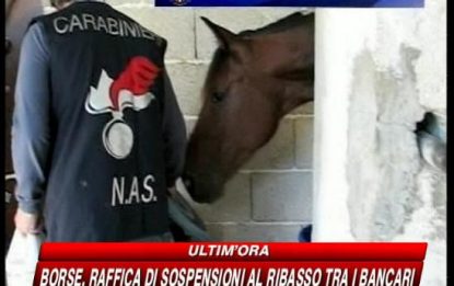 Palermo, corse clandestine di cavalli: 2 fantini denunciati