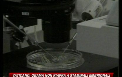 Vaticano frena Obama: no a staminali embrionali