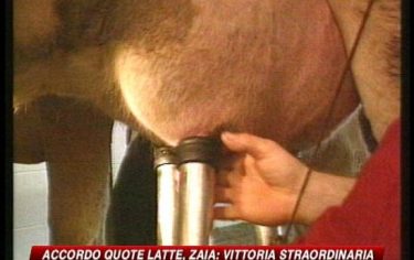 IMG_QUOTELATTE14_548x345