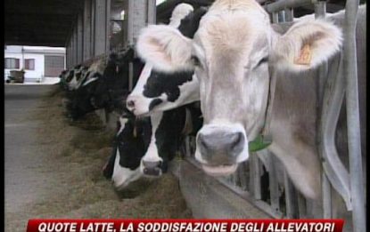 Quote latte, l'Ue concede il 6 per cento in più all'Italia