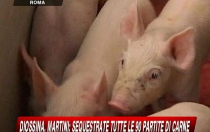 Carne alla diossina, sequestri anche in Italia