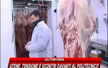 IMG_DIOSSINA_548x345