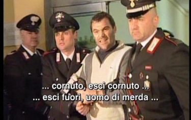 IMG_SETOLA13_548x345