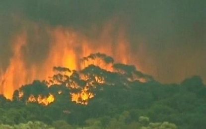 L'Australia brucia. Caccia ai piromani