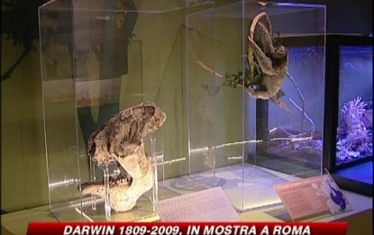 Darwin in mostra a Roma