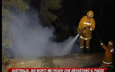 IMG_INCENDIOAUSTRALIA11_548x345