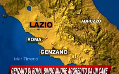 Roma, bimbo muore dopo essere stato aggredito dal cane