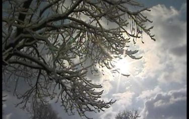 IMG_MALTEMPO16_548x345