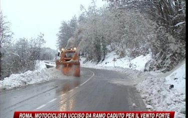 IMG_MALTEMPO19_548x345