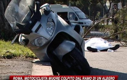 Forte vento a Roma, ramo si spezza e uccide motociclista