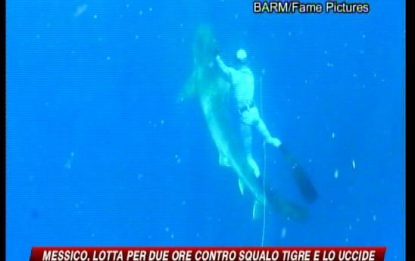 Messico, lotta per 2 ore contro uno squalo e lo uccide