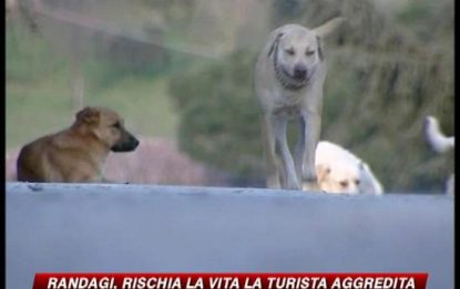 Ragusa, in pericolo di vita turista aggredita dai cani