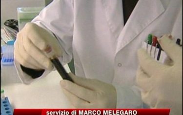 IMG_STAMINALI8OK_548x345