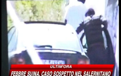 Operazione anti-droga in tutta Italia, 20 arresti