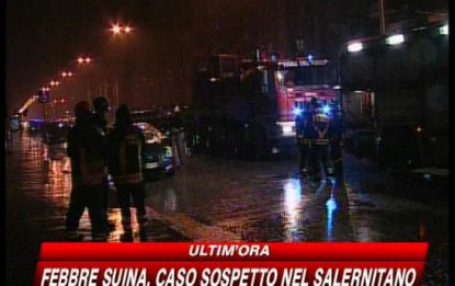 Milano, donna trovata in auto con la testa fracassata