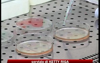 Influenza A, 7 nuovi casi in Italia