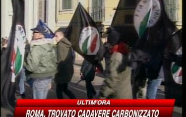 IMG_SCHINAIAVERONA_548x345