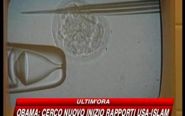 IMG_VIGEVANO14_548x345