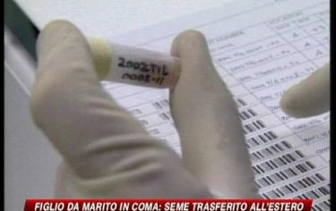 IMG_EMBRIONE8_548x345