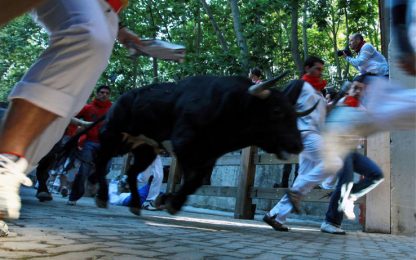 Sport letali: un morto a Pamplona incornato da un toro