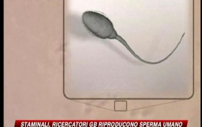 Ricercatori GB riproducono lo sperma umano