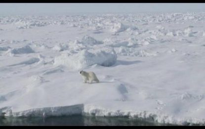 L'allarme di Greenpeace: ghiacciai a rischio scomparsa