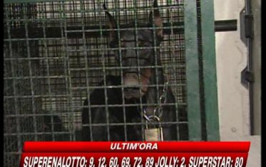 Bimbo sbranato, la Procura indaga sul fratello