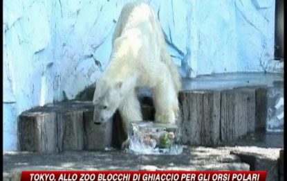 Tokyo, blocchi di ghiaccio per gli orsi dello zoo