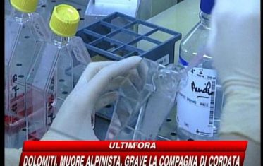 Influenza A, con i viaggi crescono i rischi di contagio