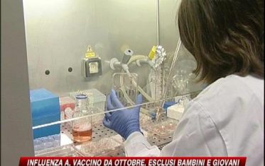 Influenza H1N1, vaccini in autunno ma non per tutti