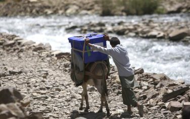 afghanistan_donkey_03