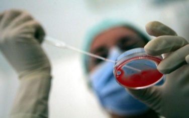 Stop a limite di 3 embrioni. La Consulta boccia la legge 40